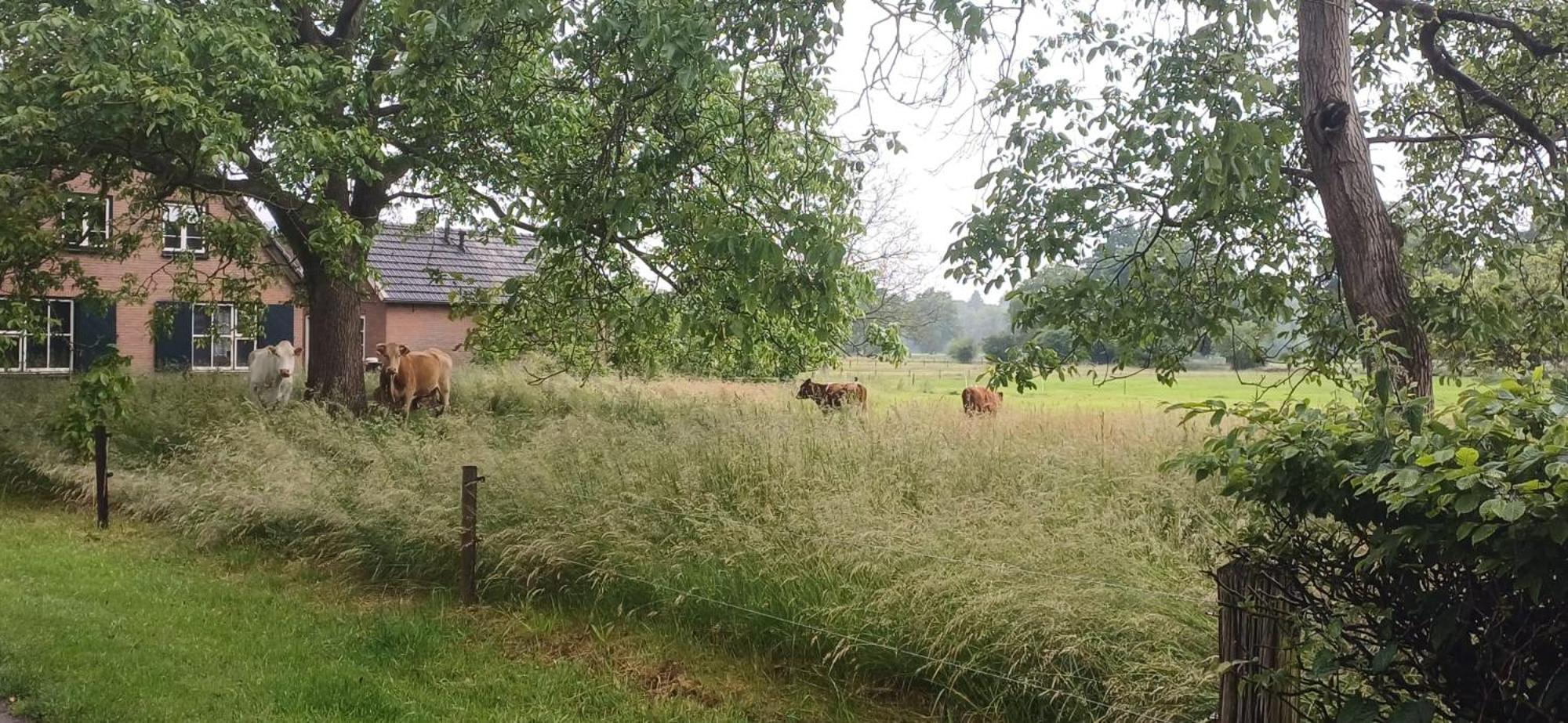 Bed & Breakfast Appenseweg Voorst Gem Voorst Exteriér fotografie
